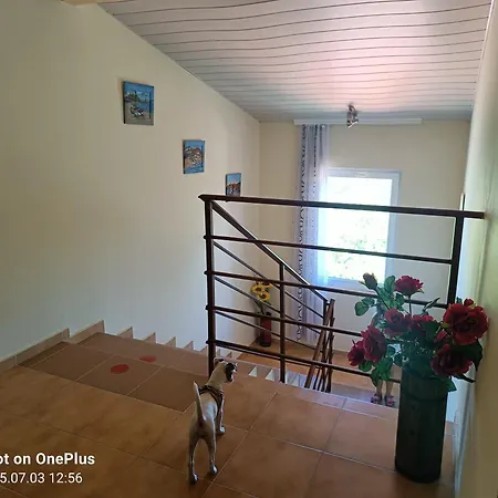 Gæstehus фернандес 3*
